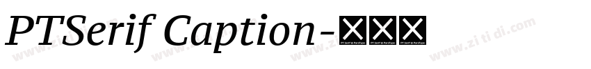PTSerif Caption字体转换 PTSerif Caption字体转换